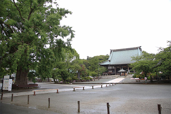 石段を上ると開ける遊行寺の境内。藤嶺学園藤沢高校のキャンパスと隣接しています。