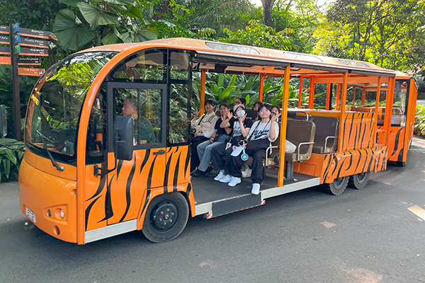 「シンガポール動物園」では、自動音声による解説を聞きながら動物を見て周る「トラム」が人気。ゆっくりとしたペースで回ることができます。