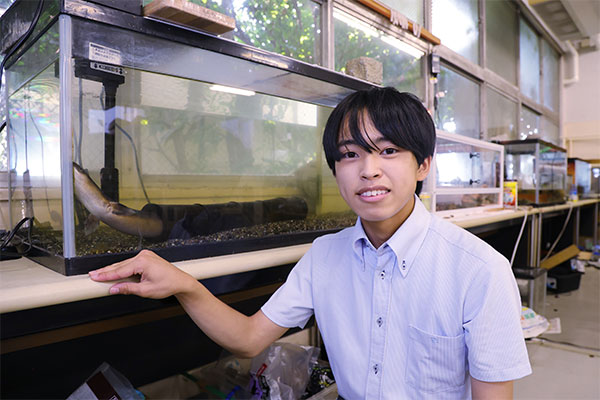 動物班に所属しているSさんの飼育担当はウナギです。「ウナギは一日中筒の中で暮らしていて、“すみっコぐらし”みたいでかわいいです（笑）」