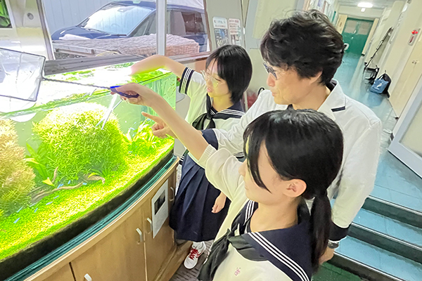 水草にこだわって作られた美しい水槽。