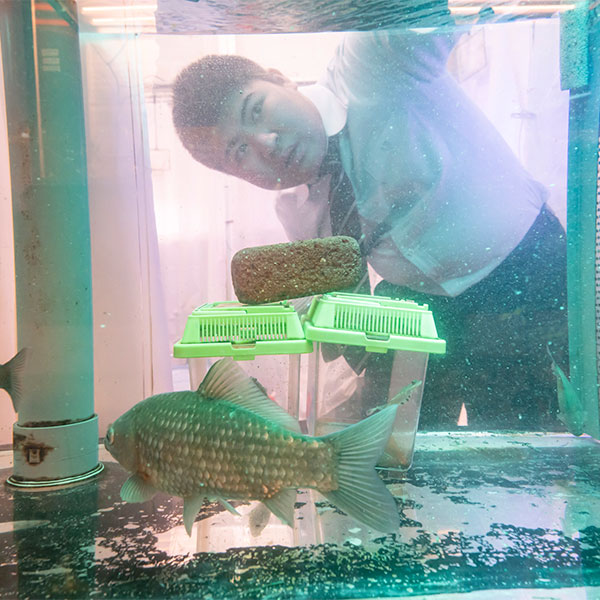 それぞれが担当を受け持っています