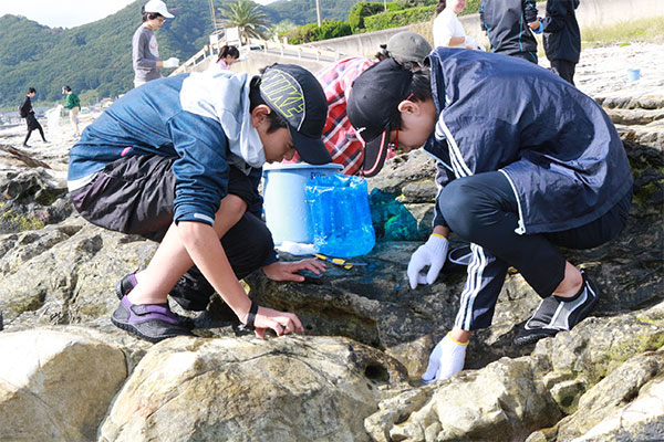 「磯のフィールドワーク」は2泊3日で行われます。