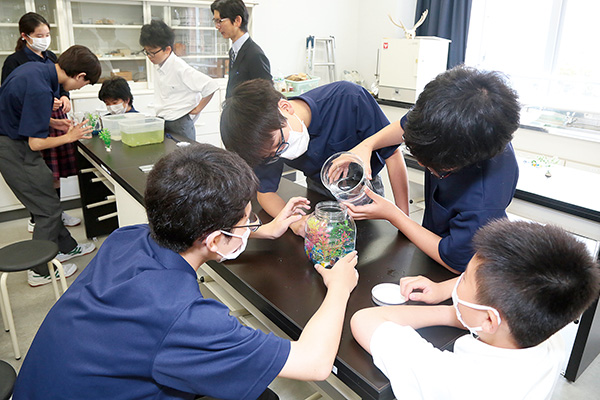専門領域 動物行動学 三部陽祐先生によるメダカの生態の研究体験。水草が光合成をして酸素が発生し、それをメダカが吸って排泄するという、ひとつの生態系が水槽内で完結するように再現していきます。