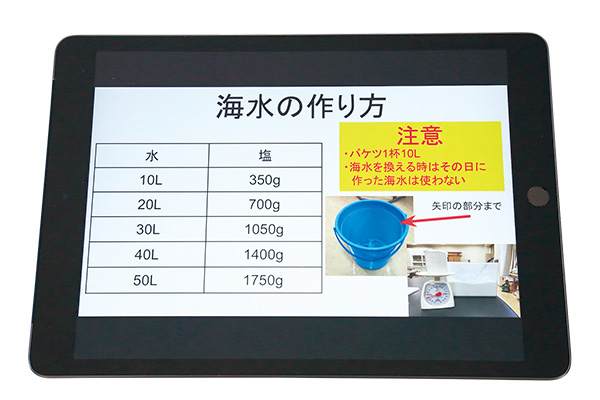 マニュアルの『海水の作り方』。海水をつくるための塩は、熱帯魚などが売られているペットショップで購入。