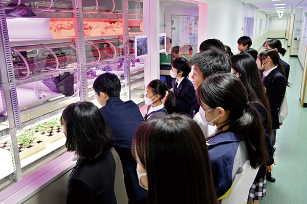 LED野菜工場も見学。LEDの特殊な光を利用して作物の生育や品質をコントロールすることで、農業人口の減少や食料自給率の低さなど、諸問題を抱える日本の農業を変える可能性の芽を学びました。