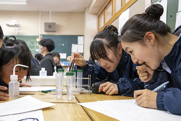 50%のエタノールにプラスチックAとプラスチックBの破片を沈める実験をする生徒たち。両者の違いを比較することで、プラスチックを分類する方法を考えます。