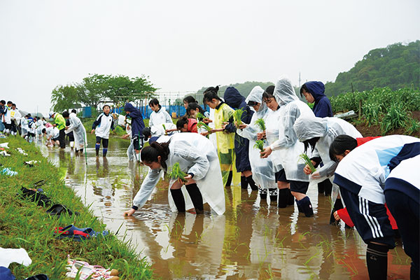 田んぼの教室(中1)