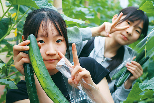 3日目は地元の農家で野菜を収穫。天候が野菜にどのような影響を与えるかをじかに見聞きしました（SDGsツアーにて）。