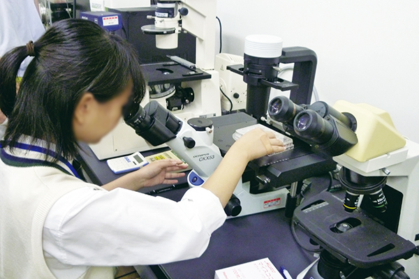 医学部　研究室実習