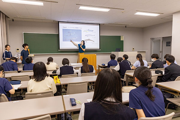 この日は海洋生物学科の教授による講座『河のブタと海のブタ』2回目を取材。鈴木教授の研究室に所属する大学生と大学院生がアシスタントとして生徒をサポート。年齢の近い先輩から大学生活や研究の楽しさを聞くことができる貴重な機会となっています。