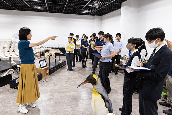 「体を流線形にするために骨はどういう形になっているか確認してみましょう。重力に逆らって生活する陸上動物の骨はしっかりしていますが、浮力で支えられるイルカは重力に逆らう必要がないので骨の密度が下がったり、薄くなったりします。必要のないところはなくなっていきます」。こうした鈴木教授の解説に熱心に耳を傾ける生徒たち。