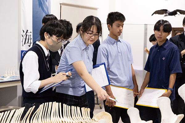 講義でスケッチしたイルカの図と、実際の骨を見比べながら観察を進める生徒たち。「本当にきれいな流線形だね」などと感想を交わしつつ、気づいた点を熱心にメモしていきます。観察を終えると再び講義室に戻り、教授から「水流や水圧をうまく避けるために、イルカの骨はどのような形をしていたか、しっかり見てこられましたか？」と問いかけがあり、改めて解説を聞きながら理解を深めていきます。